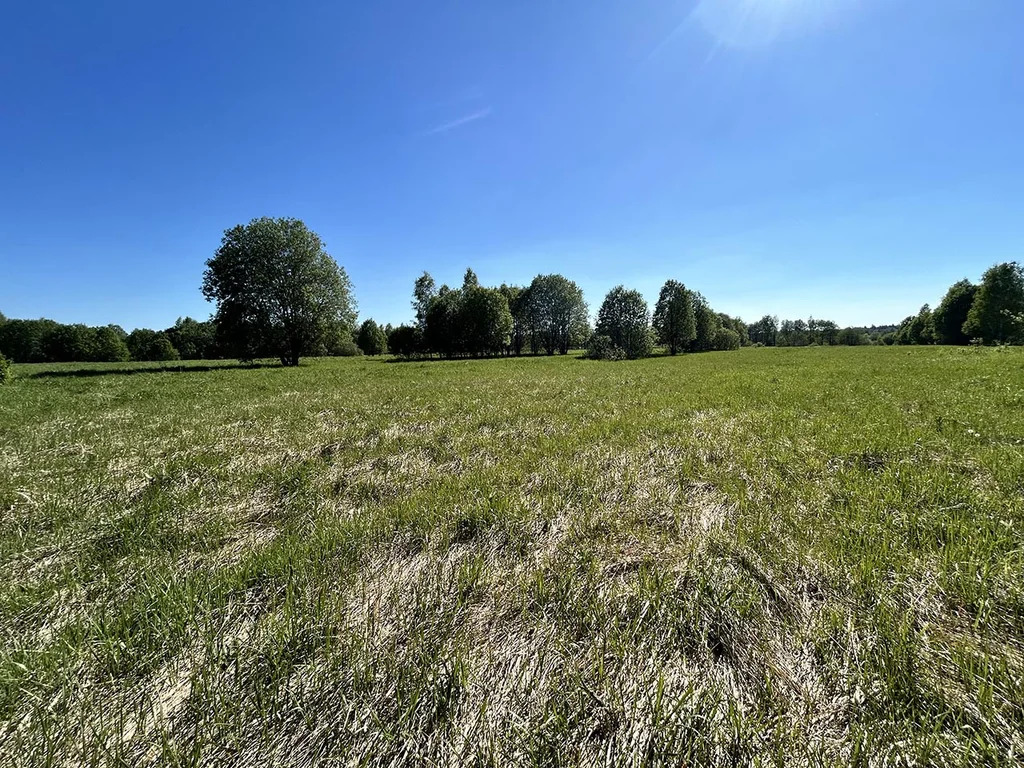 Продажа участка, Береговское, Талдомский район - Фото 2