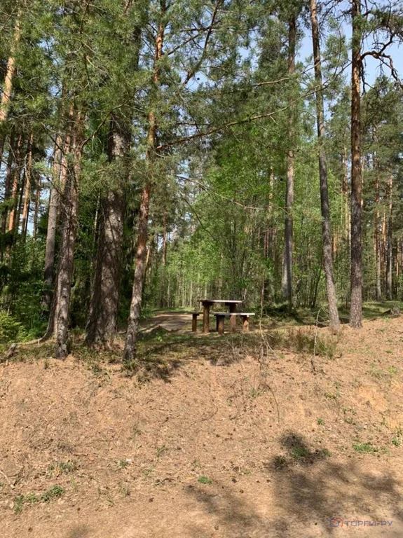 Продажа ПСН, Серебряники, Вышневолоцкий район - Фото 15