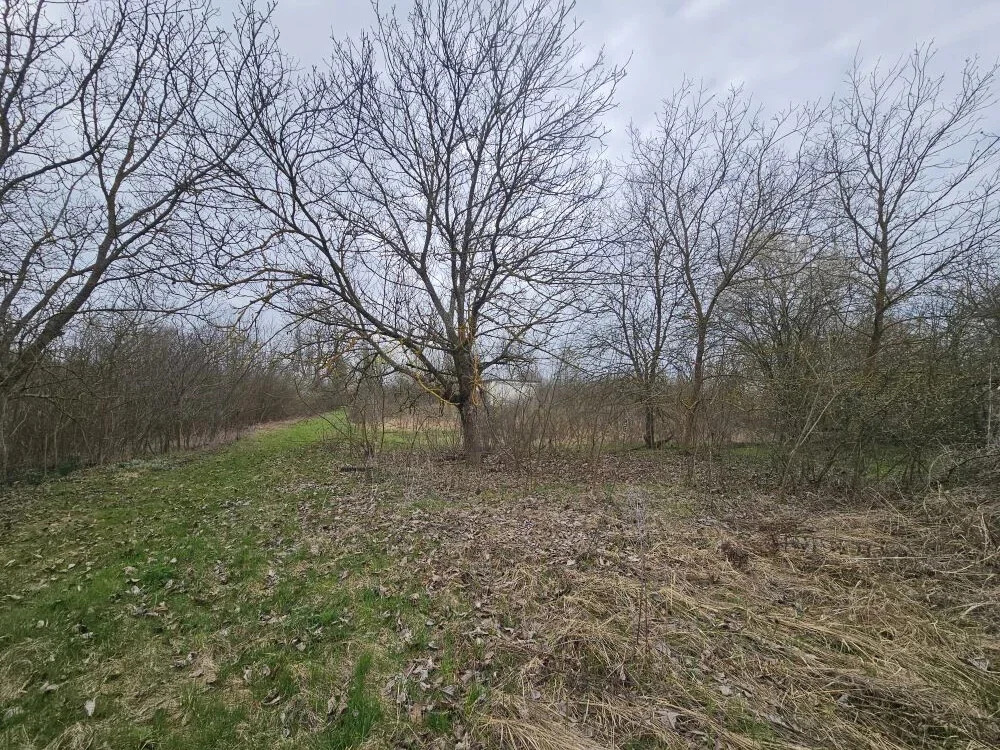 Продажа участка, Мингрельская, Абинский район - Фото 16