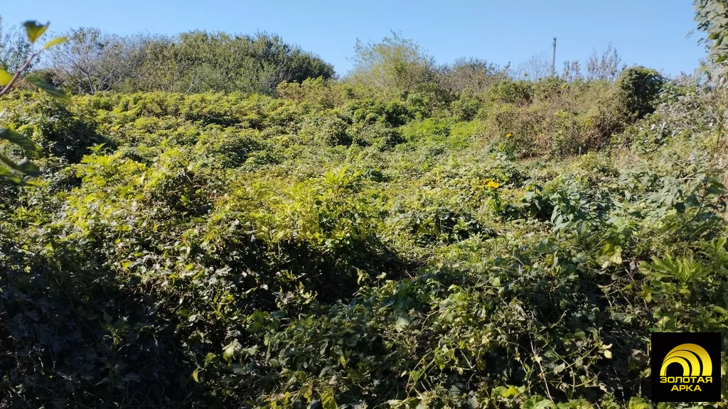 Продажа дома, Старотитаровская, Темрюкский район, ул. Ленина - Фото 9