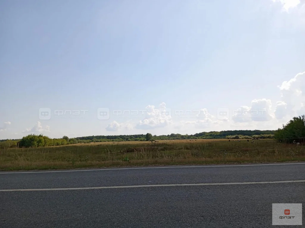 Продажа участка, Нижние Вязовые, Зеленодольский район, ул. Большая ... - Фото 6