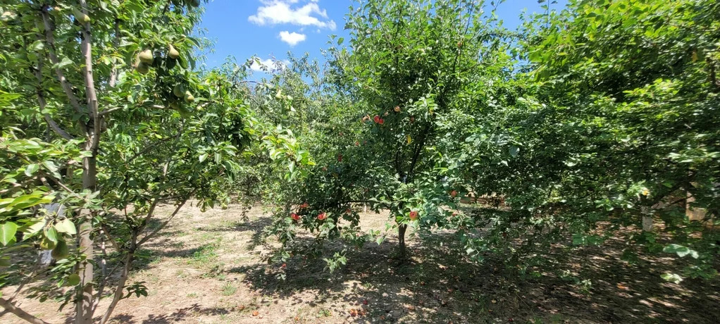 Продажа дома, Северская, Северский район, Ул. Луговая - Фото 34