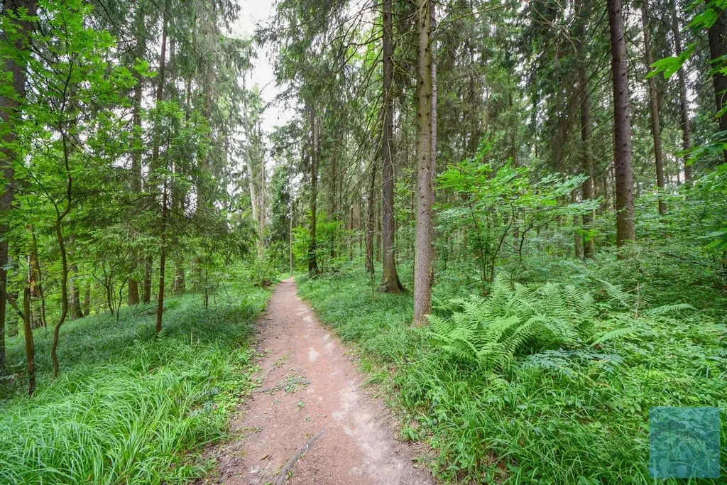 142 кв.м. в лесу, кп Гончарная слобода - Фото 12