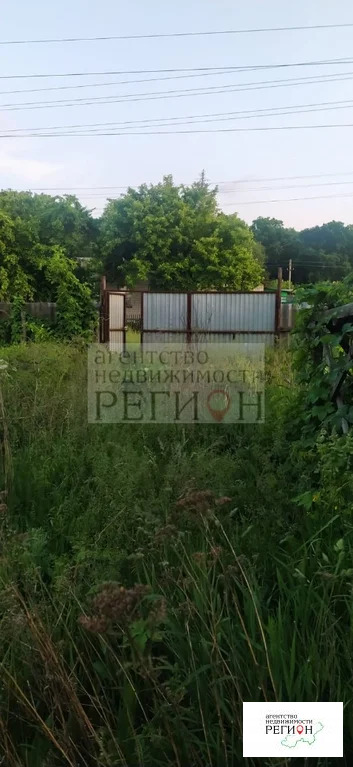 Продажа дома, Анна, Аннинский район, ул. Мичурина - Фото 19
