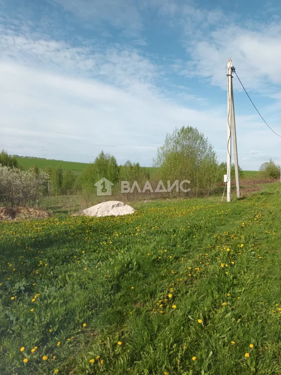 Суздальский район, село Новоалександрово, Владимирская улица, земля . - Фото 0