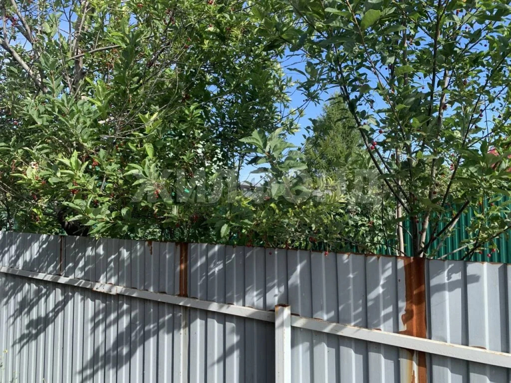 Продажа дома, Новосибирск, с/о Ложок - Фото 23