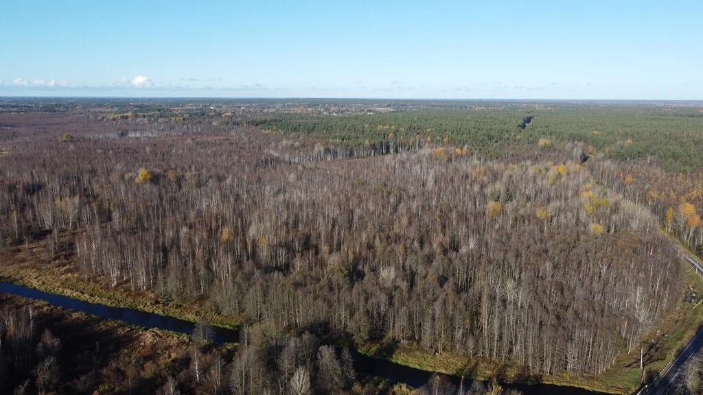 Продажа участка, Барышево, Выборгский район - Фото 4
