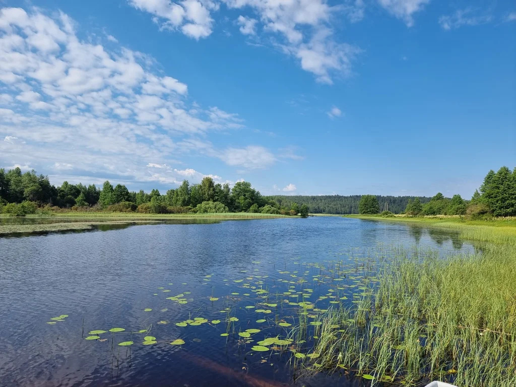 Продажа участка, Бородинское, Выборгский район - Фото 11