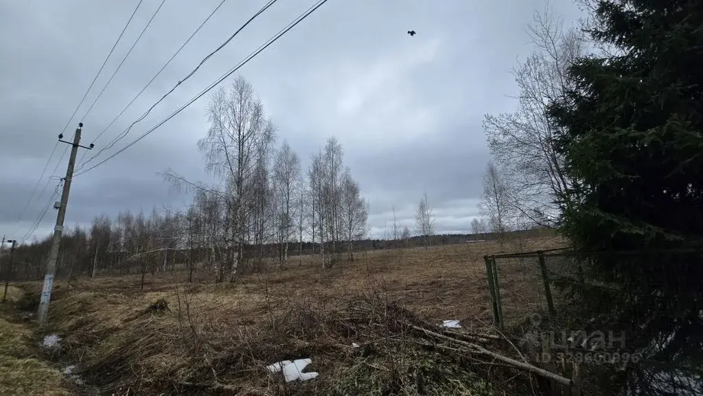 Продажа участка 19.72 га Московская область, Истра муниципальный ... - Фото 14