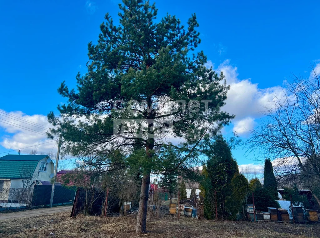 Продажа участка, Талдомский район, Журавли тер. СНТ. - Фото 6