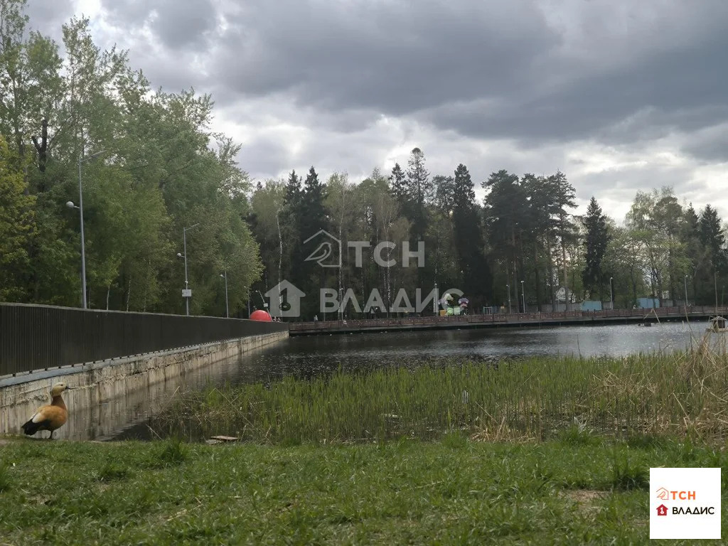 Продажа квартиры, Королев, улица К.Д. Трофимова - Фото 39