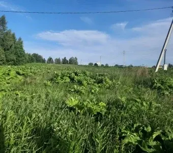 Продаетс большой участок земли в д.Нововолково Рузский р. Московская - Фото 0