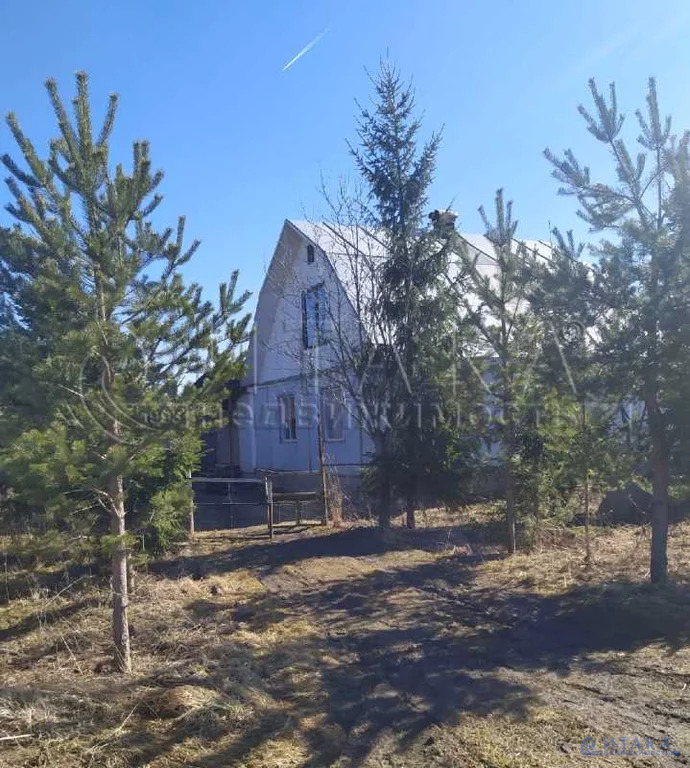 тосно андрианово