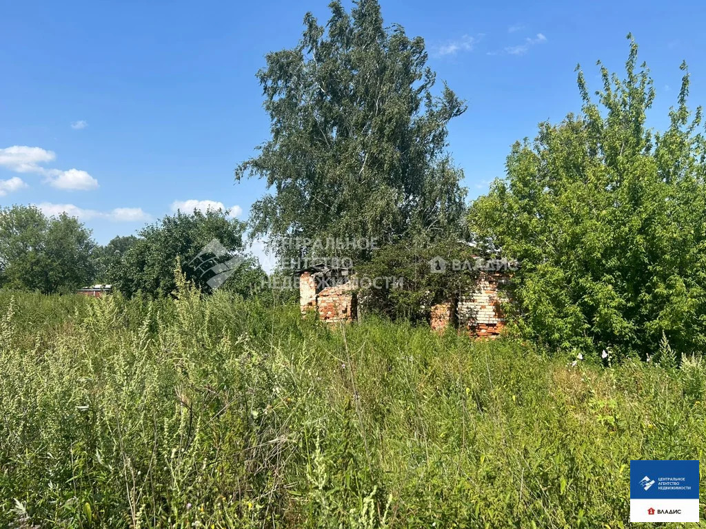 Продажа участка, Ижеславль, Михайловский район - Фото 6