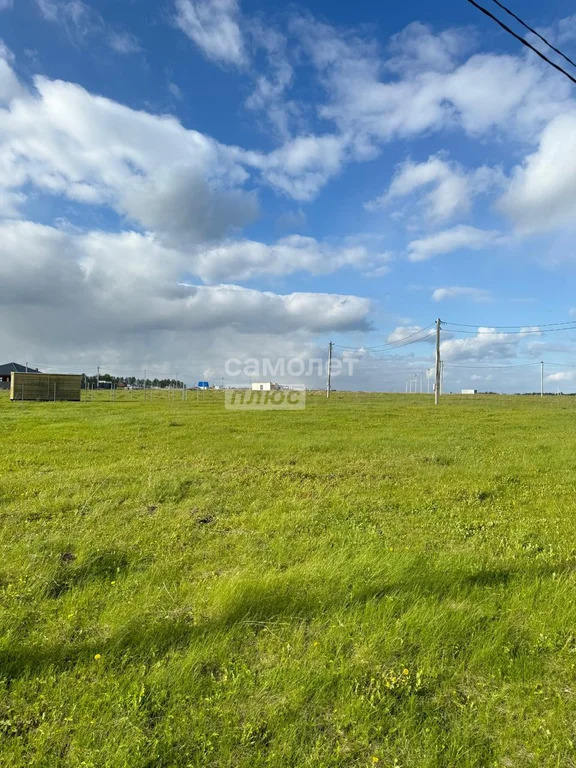 Продажа участка, Крюково (Торховский с/о), Ленинский район, Крюково ... - Фото 4