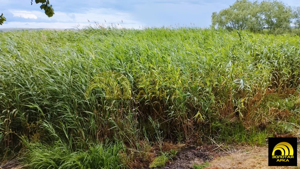 Продажа дома, Старотитаровская, Темрюкский район, Ильича пер. - Фото 19