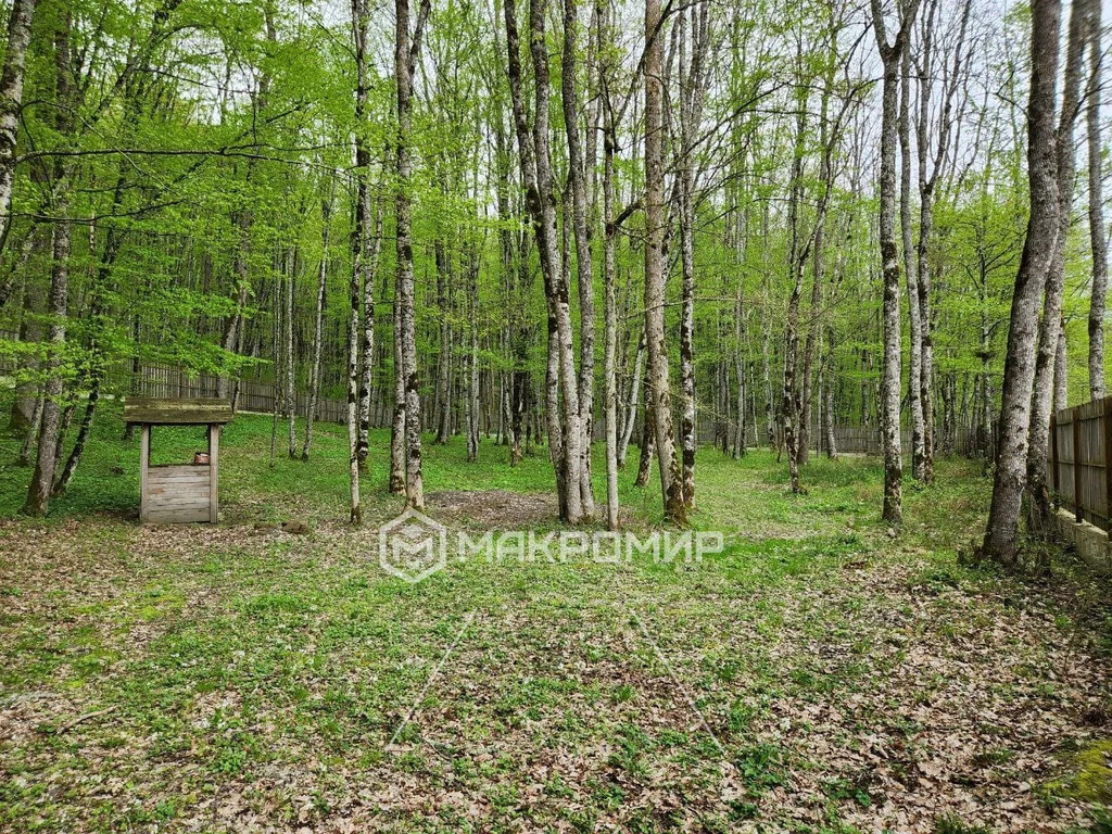 Продажа участка, Планческая Щель, Северский район, ул. Мира - Фото 1