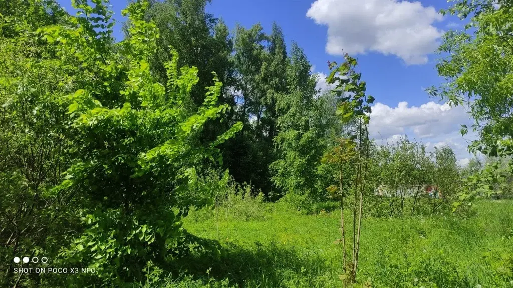 Участок у леса в достойном поселке на Рублевке по низкой цене - Фото 1