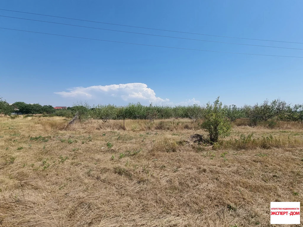Продажа участка, Ломакин, Неклиновский район, ул. Новая - Фото 8