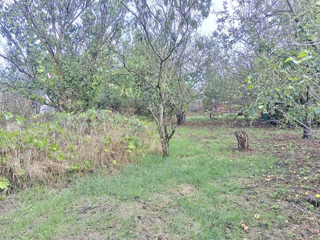 Продажа участка, Темрюк, Темрюкский район, ул. Анджиевского - Фото 6