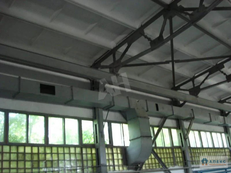 Продажа помещения пл. 2000 м2 под производство, аптечный склад, ... - Фото 4