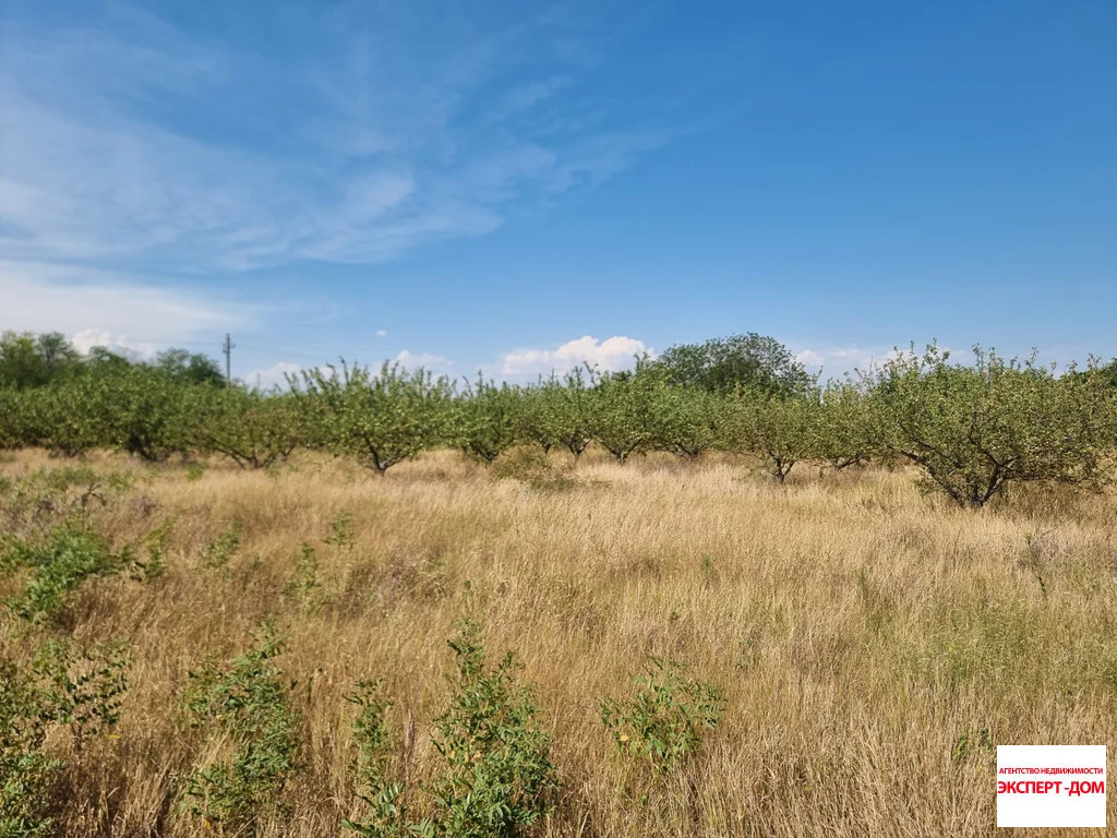 Продажа участка, Ломакин, Неклиновский район, ул. Новая - Фото 5