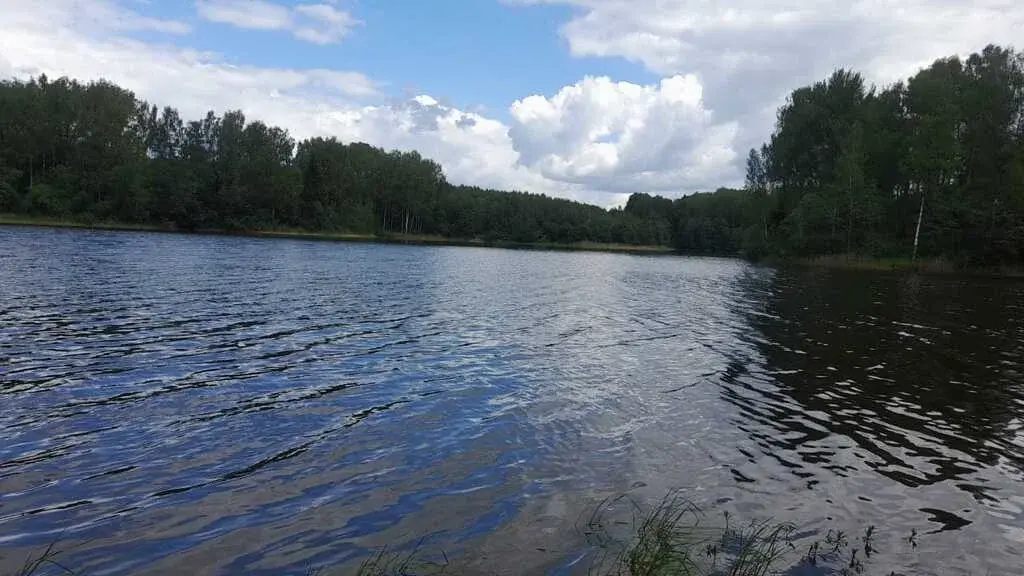 Продажа 38 га на первой линии Вазузского Тверская обл.Зубцовский р-н - Фото 3