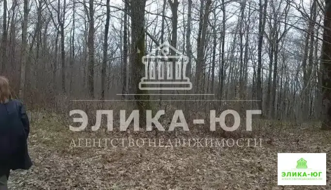 Продажа участка, Новомихайловский, Туапсинский район, Лесной-мкр. - Фото 3