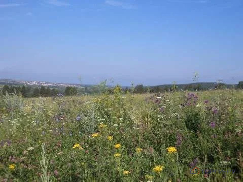 Продажа земельного участка, Ижевск, ул. Автономная - Фото 5