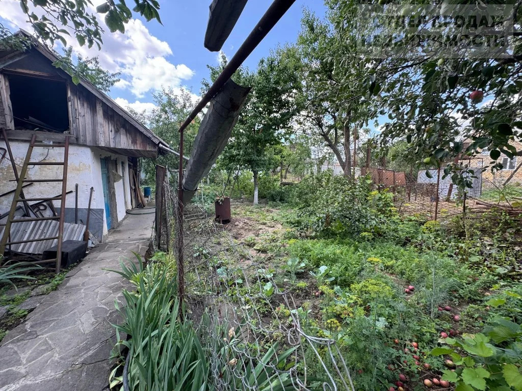 Большой дом - Фото 24
