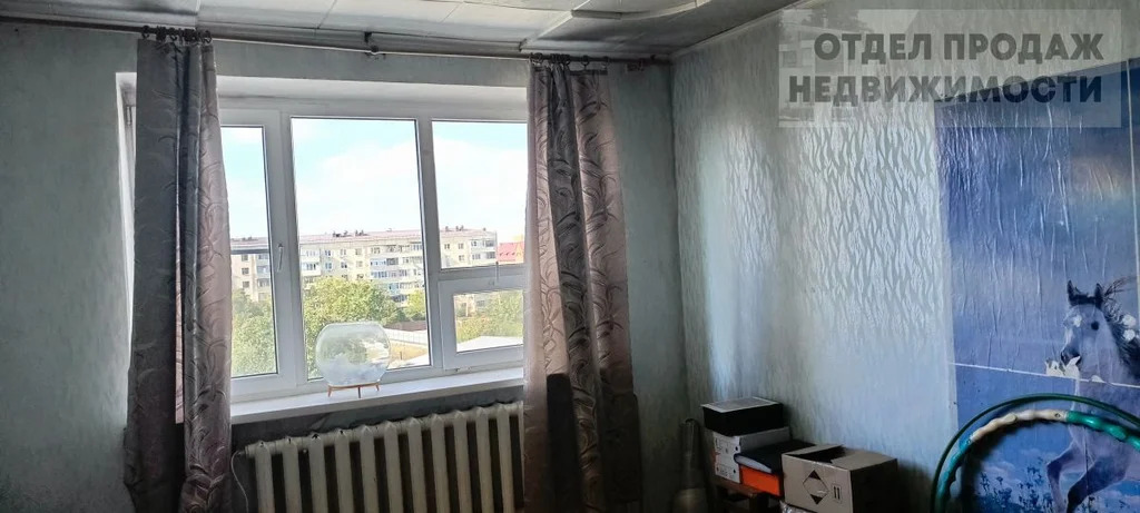 Просторная 3-х комнатная квартира - Фото 3