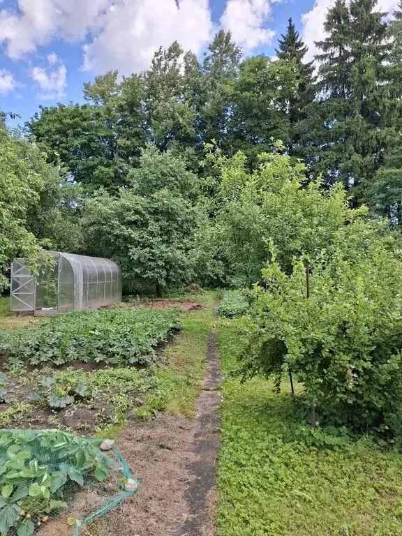 Продам дом в Лобне - Фото 5