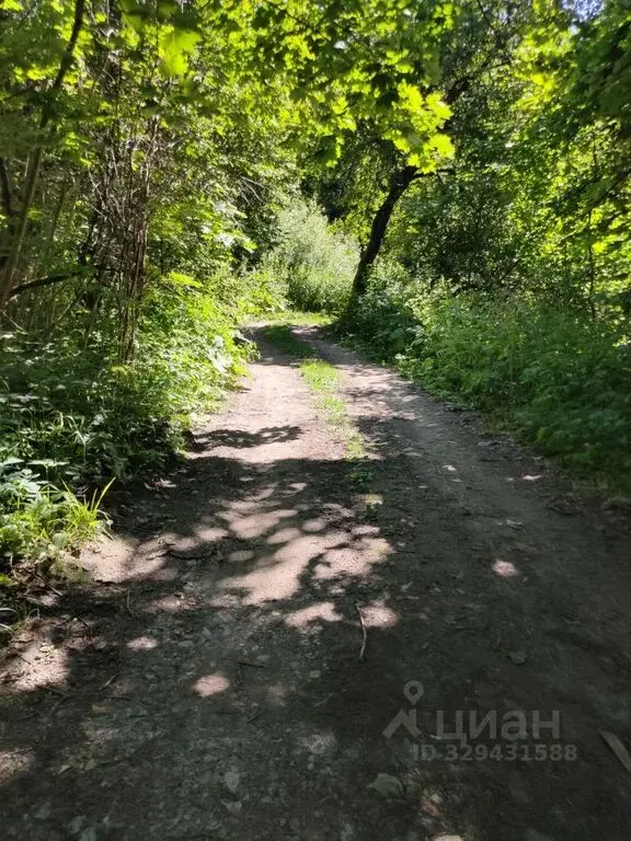 Продажа участка 12.0 сот. Тульская область, Алексин городской округ, ... - Фото 7