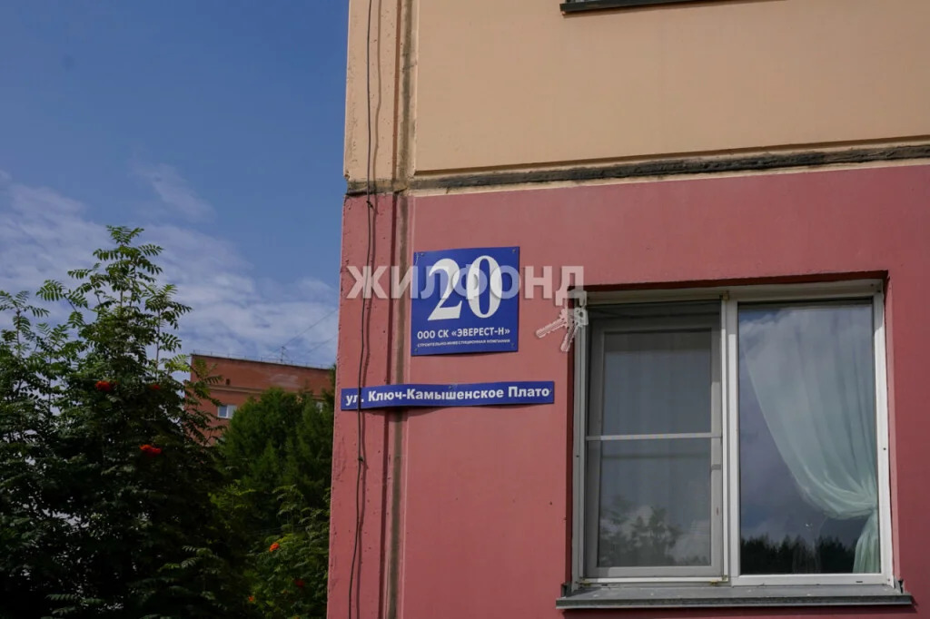 Продажа квартиры, Новосибирск, ул. Ключ-Камышенское плато - Фото 20