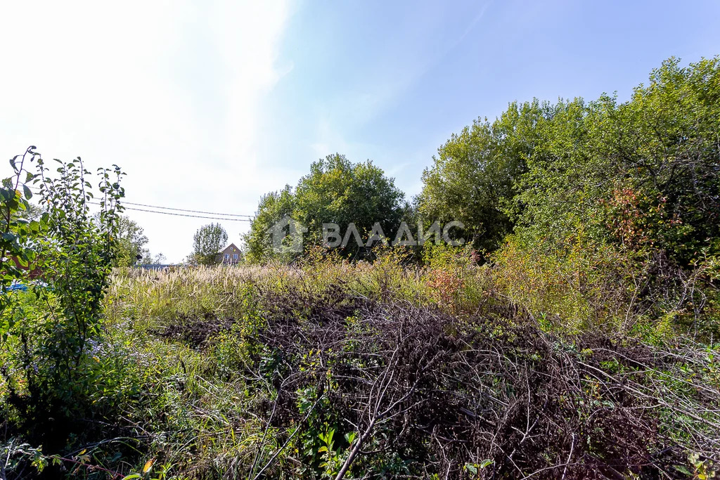 Суздальский район, село Сновицы, Придорожная улица,  земля на продажу - Фото 3