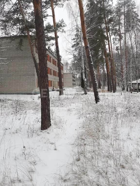 Продажа ПСН, Колодезское, Задонский район, ул. Солнечная - Фото 20