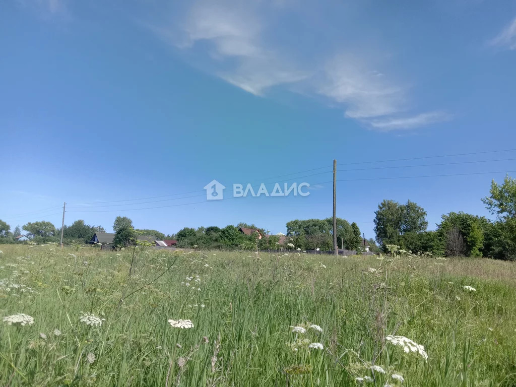 Суздальский район, село Крапивье, земля на продажу - Фото 8