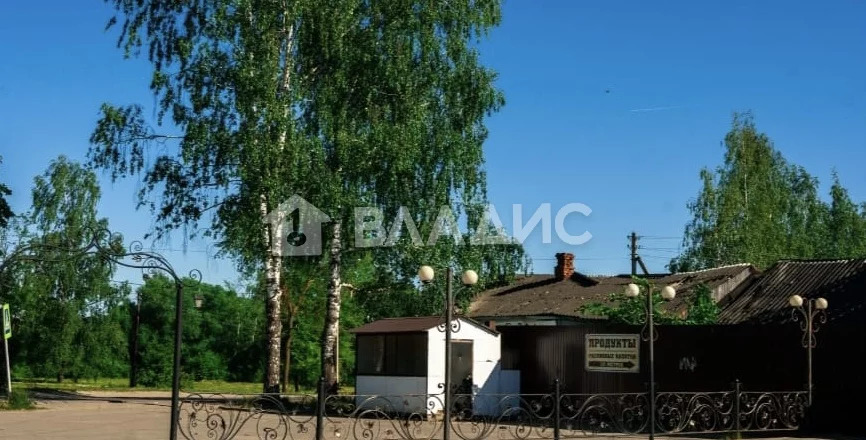 Собинский район, село Бабаево, Рябиновая улица,  земля на продажу - Фото 5