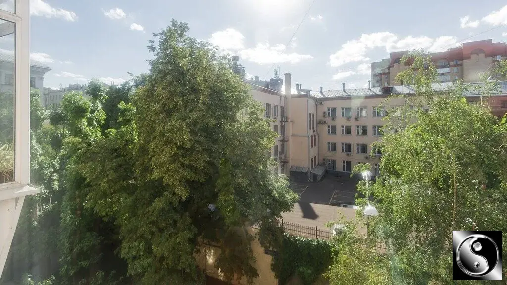 Сдам комнату 80.0/10.0м пер. 2-й Хвостов, 12, Москва, ЦАО, р-н ... - Фото 39
