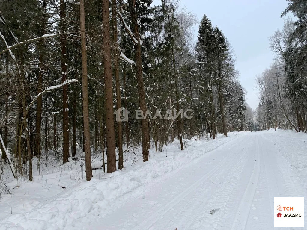 Продажа участка, Сазонки, Дмитровский район - Фото 1