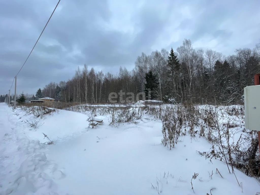 Продажа участка, Солнечногорск, Солнечногорский район - Фото 8