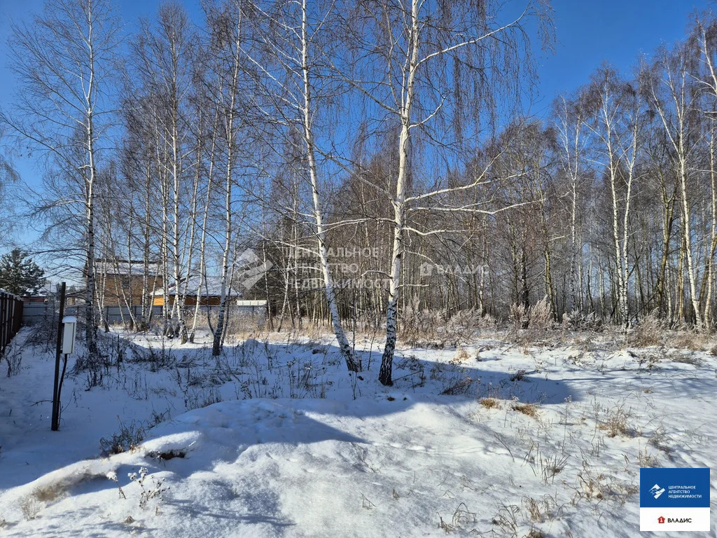 Продажа участка, Алеканово, Рязанский район, Светлая улица - Фото 12