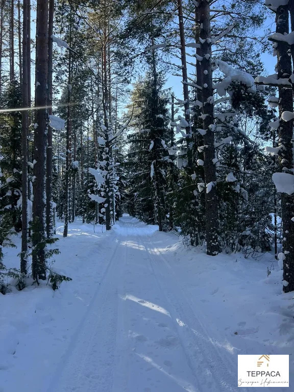 Продажа дома, Борисово, Бокситогорский район - Фото 5