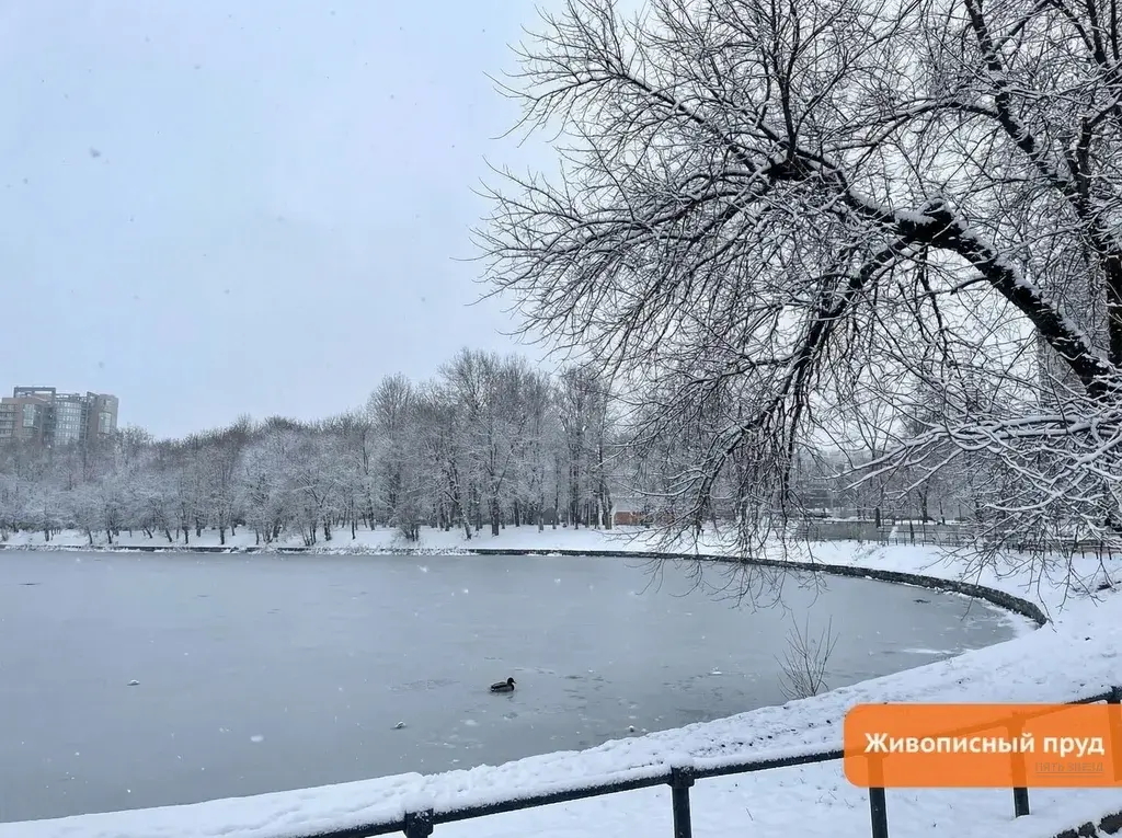 Продается 3-комнатная квартира Плеханова, 3К5 - Фото 25