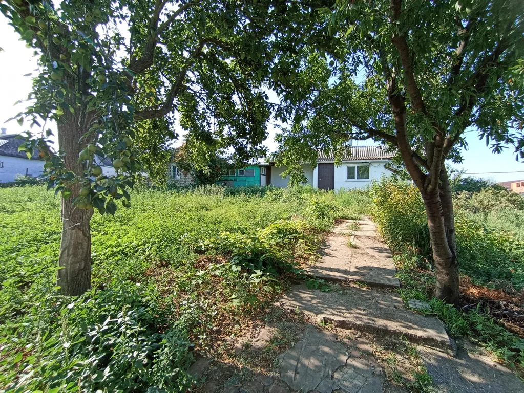 Продажа дома, Курчанская, Темрюкский район, ул. Канальная - Фото 18
