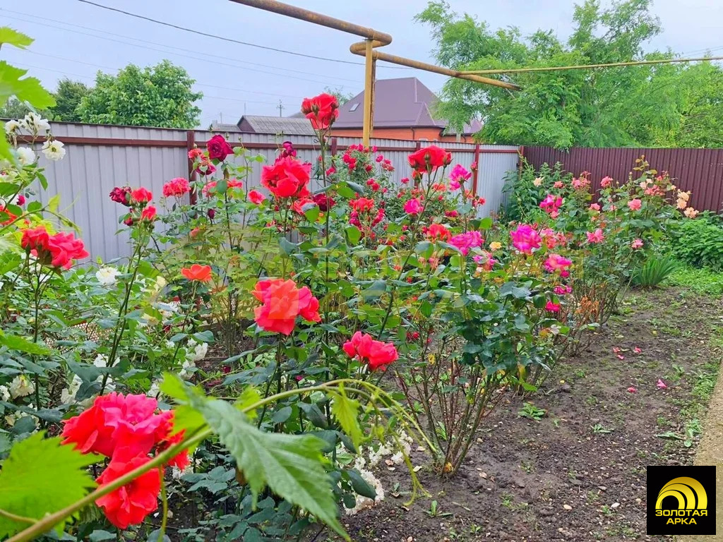 Продажа дома, Полтавская, Красноармейский район, ул. Красная - Фото 22