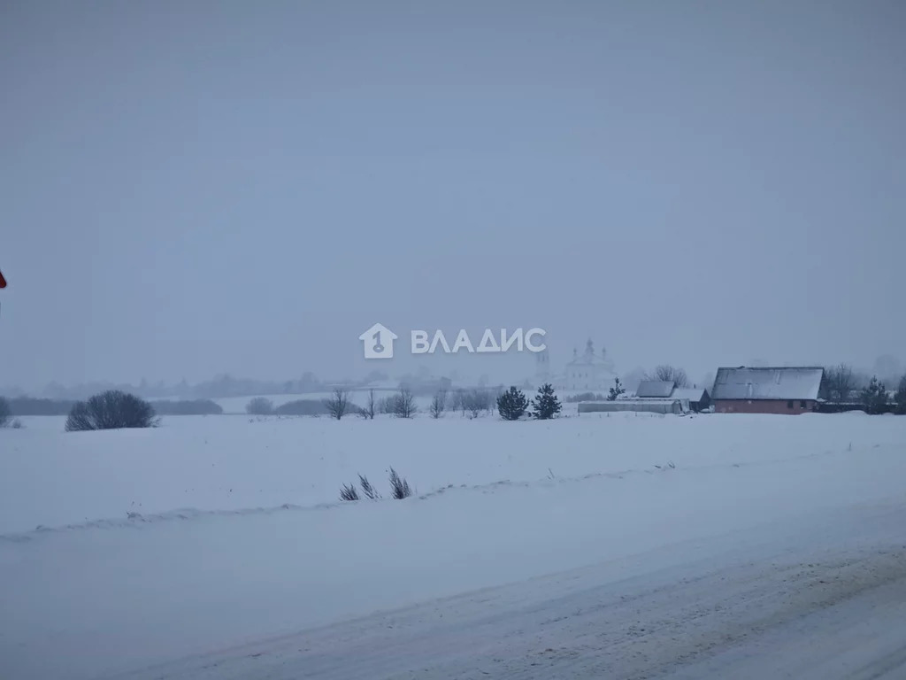 Суздальский район, село Менчаково, Центральная улица,  земля на ... - Фото 3