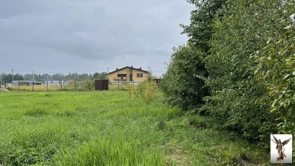 Земельный участок в ДНТ Поляна-2 (массив Белоостров) - Фото 3