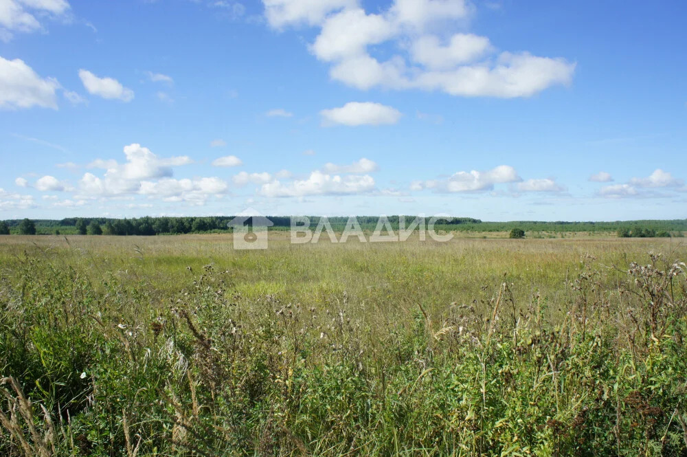 Суздальский район, село Павловское,  земля на продажу - Фото 1