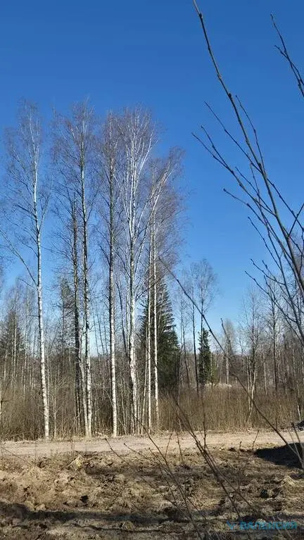 Продается ЗУ в собственности в ТСН "Вымпел" - Фото 5